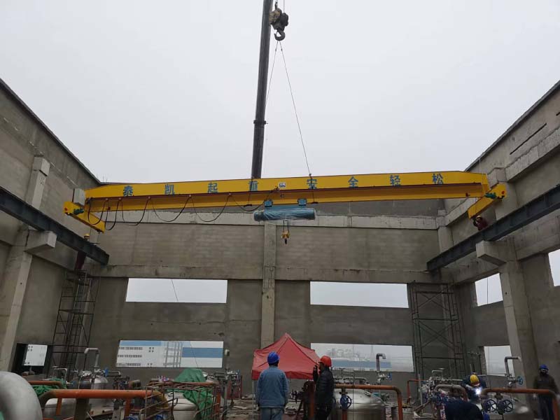 胜利生物起重机施工现场